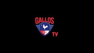 Gallos TV: Joe Conway