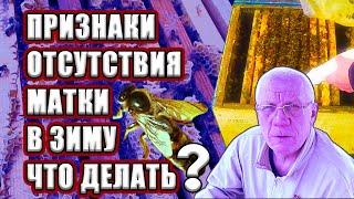 Нет матки Не нашёл матку Признаки отсутствия матки Что делать?