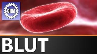 Trailer - Blut - Biologie - Schulfilm