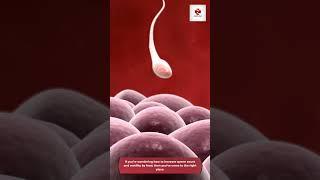 10 Foods That Can Increase Sperm Count #Shorts #youtubeshorts #youtubetrending #viral #top #sperm