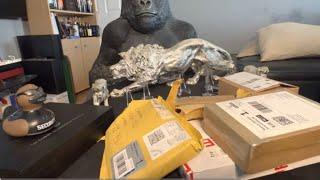MASSIVE UNBOXING of gold and silver bought in a week