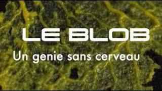 Le Blob, un Génie Sans Cerveau