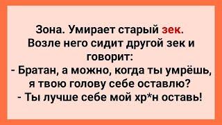 Зона! Умирает Старый Зек! Подборка Веселых Жизненных Анекдотов! Юмор!