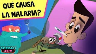 Documentos y formas de prevenir la malaria | Animación científica para niños