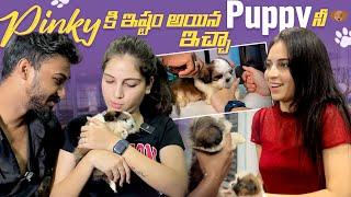 Pinky కి ఇష్టం అయిన puppy నీ ఇచ్చా!!! Happiness కి అసలు limit లేదు ️#nanipinkyofficial #nanipinky