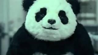 Panda Cheese Commercials (All 5)