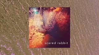 Jennasen - Scared Rabbit