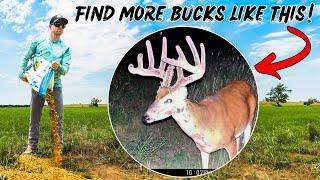 Our SECRET to LOCATING BIG Bucks in the Summer!