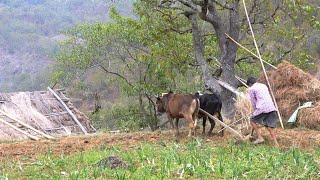 Natural lifestyle of the Nepali village || Rural Nepal Quest ||