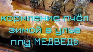 КОРМЛЕНИЕ ПЧЁЛ ЗИМОЙ. Улей ппу Медведь на пасеке Медведь.