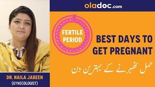 Best Days To Get Pregnant Urdu Hindi - Hamal Therne Ka Sahi Waqt - Fertility Days - Ovulation Period