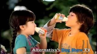 Campanha Actimel - Estrelas Animais