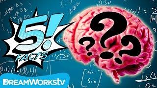 5 Myths About The HUMAN BRAIN Busted! | 5 FACTS