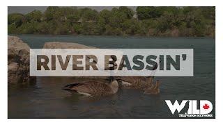 Canadian Sportfishing - River Bassin’