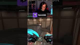 Cluth | Twitch.tv/Tavolek