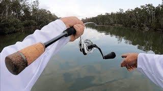 FISHING NOOSA RIVER | Mangrove Jack Explore.