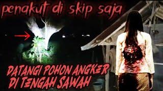 DATANGI POHON ANGKER‼️DI TENGAH SAWAH SEREM GUYS