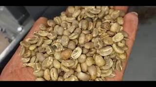 coffee bean gravity separator working video