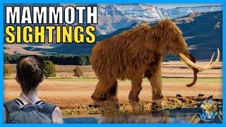 Are Mammoths Still Alive?