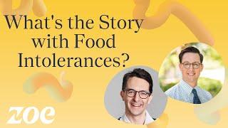 Understanding Food Allergies and Intolerances with Dr Will Bulsiewicz