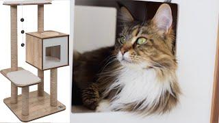 Our Top 4 Favorite Cat Tree Companies