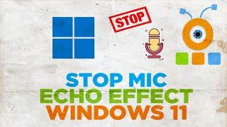 How to Stop MIC echo effect on Windows 11