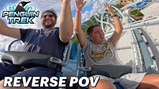 Penguin Trek Reverse POV!! - SeaWorld Orlando's Newest Roller Coaster!