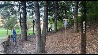 Raised basket shot at Nine Springs Disc Golf Course - Madison, WI