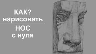 Как нарисовать НОС с нуля?