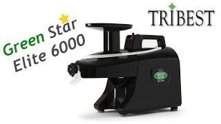 Двухшнековая соковыжималка Tribest GSE 6000. Отжим сока. Очистка соковыжималки.