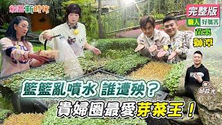 籃籃亂噴水 誰遭殃？貴婦圈最愛芽菜王！【綜藝新時代】 2025.02.28