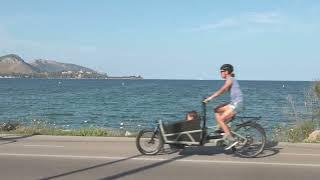 E-cargo bike Riese & Müller Load 60 Touring