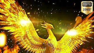 Golden Bird (Phoenix) Logo Reveal-Full HD-1080p-No Text-No Copyright-Download Link In Description.