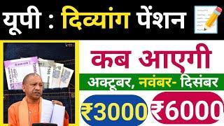 Divyang Pension Kab Aayegi | दिव्यांग पेंशन कब आएगी |  Viklang Pension Kab Aayegi | विकलांग पेंशन |