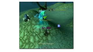 Dugi World Of Warcraft Guides, LEVELING