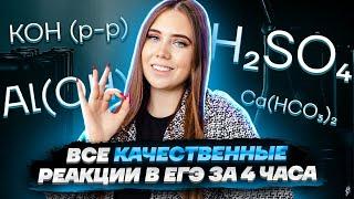 ВСЕ качественные реакции в ЕГЭ за 4 часа | Химия ЕГЭ | Умскул