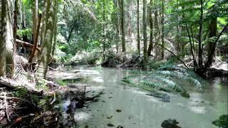 Fraser Island Great Walk | Onlyluxe Travel