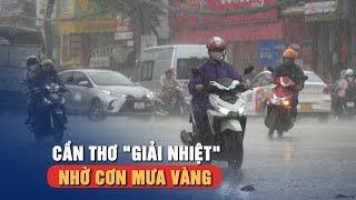 Cần Thơ được giải nhiệt nhờ cơn “mưa vàng” nặng hạt