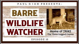 Wildlife Watcher Episode 10