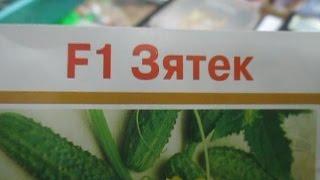 "Магазин, товары, обзор-5. Семена! Огурцы – ассортимент, цены, советы!"