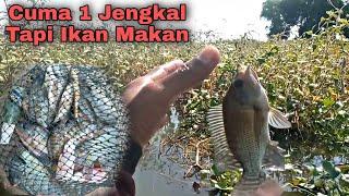 Terlalu GanasKedalaman 1 Jengkal Tapi Ikan Makan Rakus || Waduk Cengklik || Mancing Nyobok