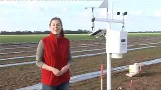 The Birchip Cropping Group