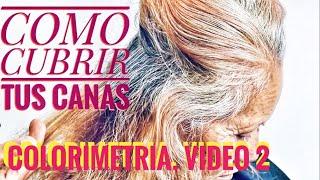 COLORIMETRIA COMO CUBRIR LAS CANAS