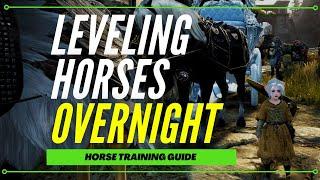 Black Desert Online - AFK Horse Leveling Guide