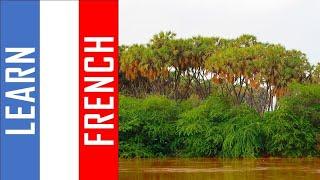 Learn French in Somalia I  500 Verbs and Phrases