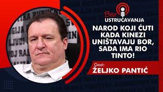 BEZ USTRUČAVANJA - Željko Pantić: Narod koji ćuti kada Kinezi uništavaju Bor, sada ima Rio Tinto!