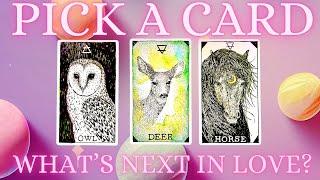 WHAT'S COMING NEXT IN LOVE?      PICK A CARD  LOVE TAROT READING
