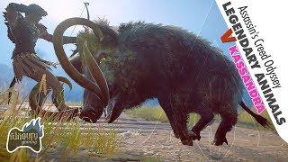 Assassin's Creed Odyssey ALL Legendary Animals BOSS FIGHTS