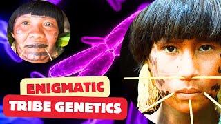 Amazing Genetic Secrets of The Yanomami People Revealed