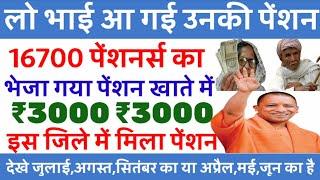 आ गई पेंशन 2024 | vidhwa pension | up pension update | widow pension latest news